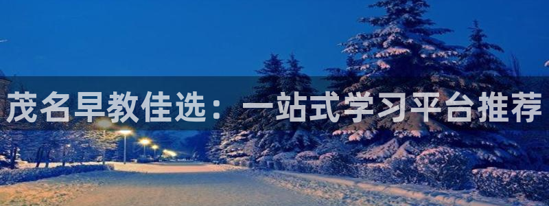 威九国际海域：茂名早教佳选：一站式学习平台推荐