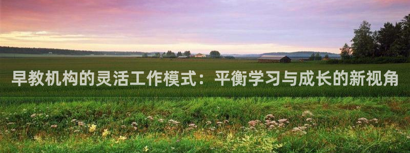 威九国际78m78下载：早教机构的灵活工作模式：平衡学习与成长的新视角