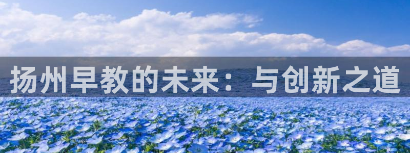 威九国际v96242cc官网版：扬州早教的未来：与创新之道