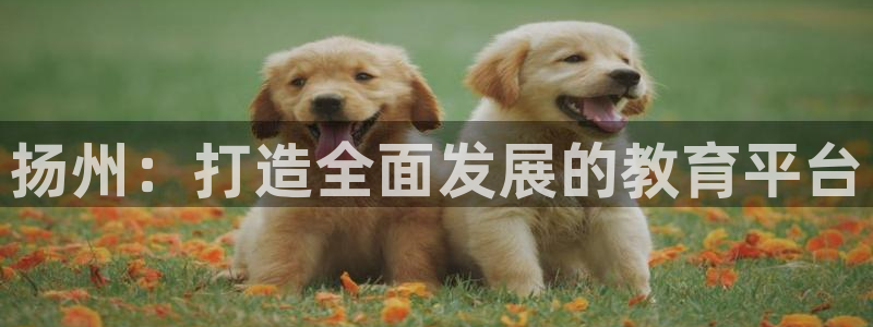 威九国际黄威尼斯：扬州：打造全面发展的教育平台