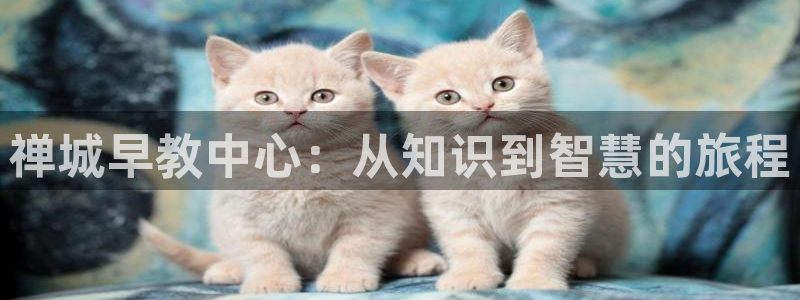 威九国际app客服电话号码：禅城早教中心：从知识到智慧的旅程