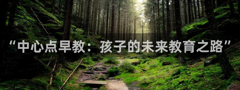 威九国际最新：“中心点早教：孩子的未来教育之路”