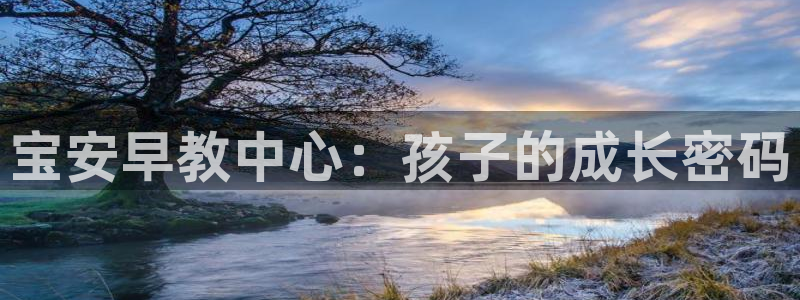 威九国际下载官网app：宝安早教中心：孩子的成长密码