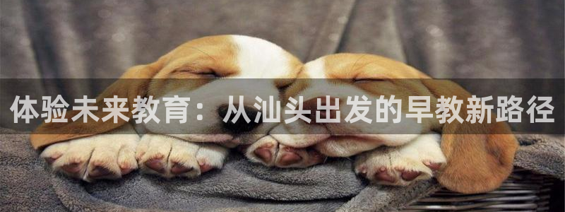 威九国际客服电话：体验未来教育：从汕头出发的早教新路径