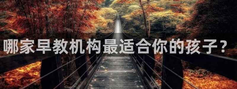 威九国际78m-MBA智库百科：哪家早教机构最适合你的孩子？