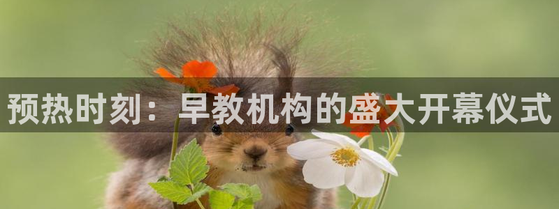 威九国际APP客服:预热时刻:早教机构的盛大开幕仪式