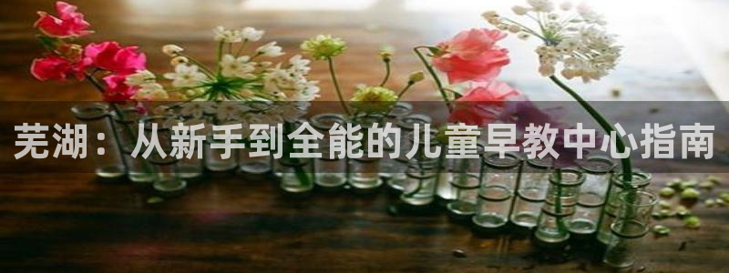 威九国际78mB：芜湖：从新手到全能的儿童早教中心指南