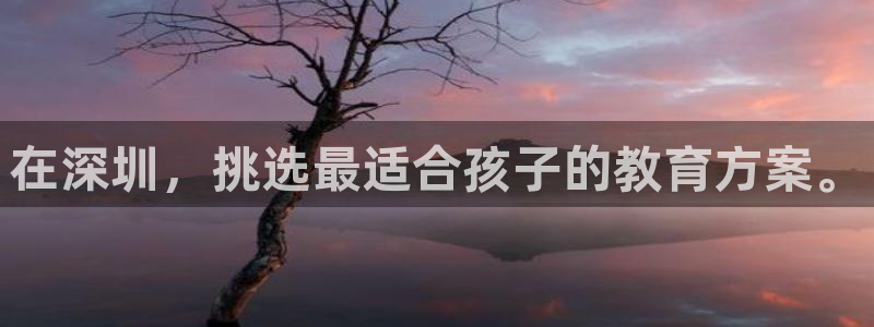 威九国际免费：在深圳，挑选最适合孩子的教育方案。