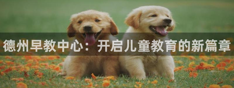 威九国际78app：德州早教中心：开启儿童教育的新篇章