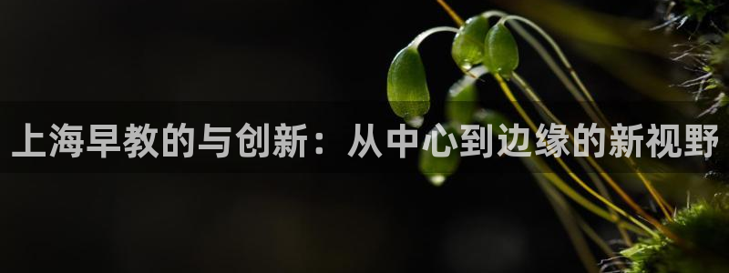 威九国际客服电话号码是多少：上海早教的与创新：从中心到边缘的新视野