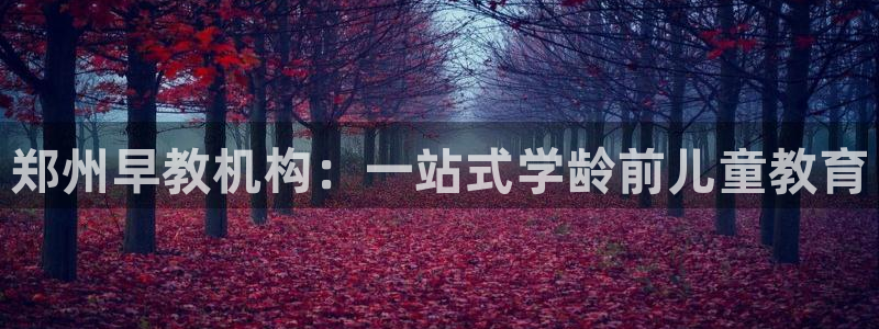威九国际特殊奖励我的奖励竟然是嫂子：郑州早教机构：一站式学龄前儿童教育