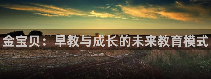 威九国际网站进入产品中心：金宝贝：早教与成长的未来教育模式