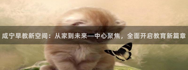 威九国际78mob游戏特色：咸宁早教新空间：从家到未来—中心聚焦，全面开启教育新