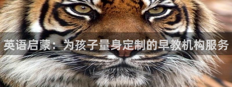 威九国际游戏网站：英语启蒙：为孩子量身定制的早教机构服务