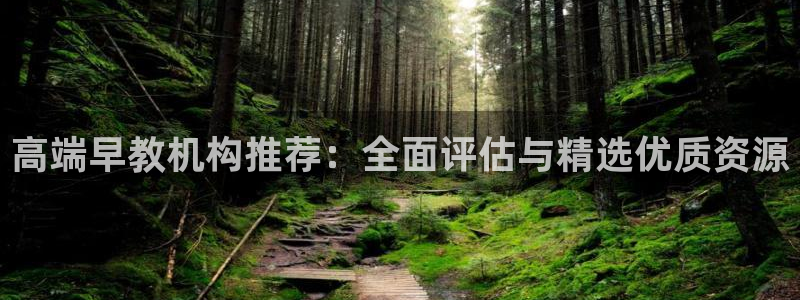 威九国际66m66成长模式免费：高端早教机构推荐：全面评估与精选优质资源