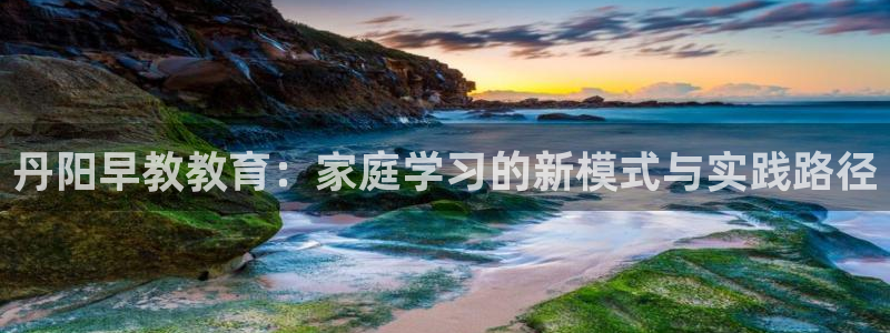 威九国际app大全下载安装：丹阳早教教育：家庭学习的新模式与实践路径