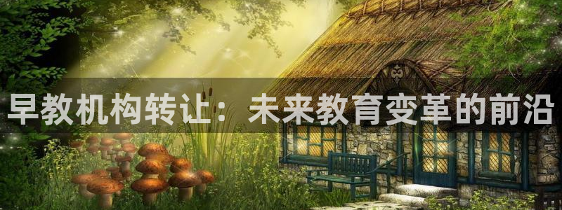 威九国际网站入口地址查询：早教机构转让：未来教育变革的前沿