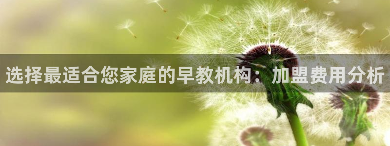 威九国际精选：选择最适合您家庭的早教机构：加盟费用分析