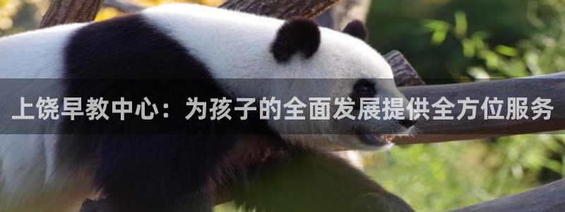 威九国际ppt免费下载网址：上饶早教中心：为孩子的全面发展提供全方位服务