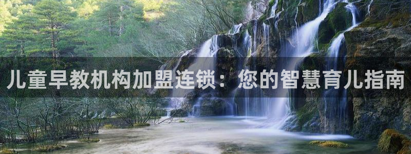 威九国际女儿的朋友：儿童早教机构加盟连锁：您的智慧育儿指南