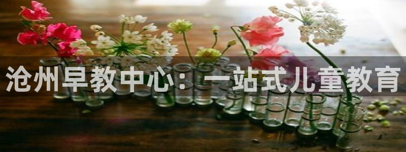 威九国际66m66成长模式免费：沧州早教中心：一站式儿童教育