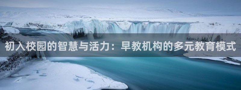 威九国际app客服电话号码：初入校园的智慧与活力：早教机构的多元教育模式