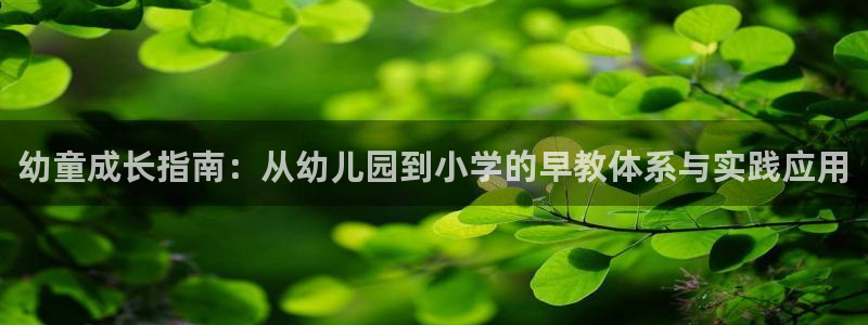 威九国际66m免费下载:幼童成长指南:从幼儿园到小学的早教体系与实践应用