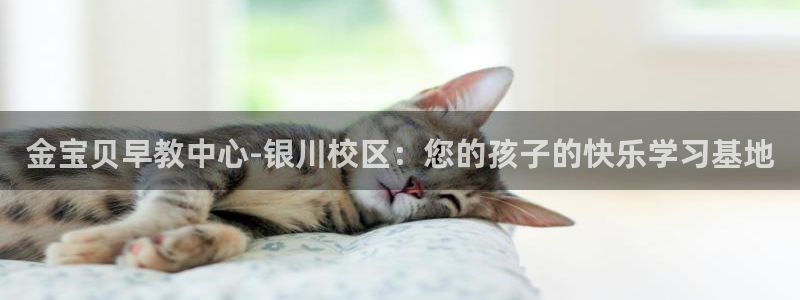 威九国际ft:金宝贝早教中心-银川校区:您的孩子的快乐学习基地
