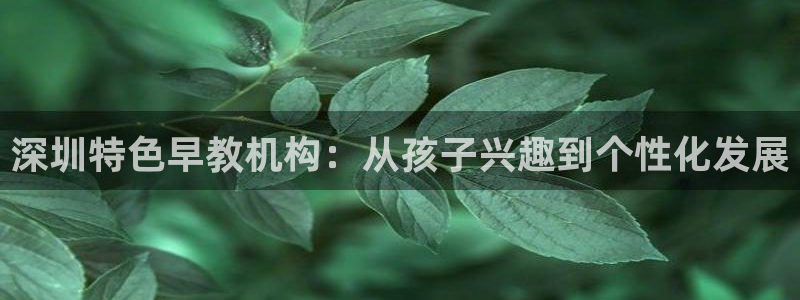 威九国际AN：深圳特色早教机构：从孩子兴趣到个性化发展