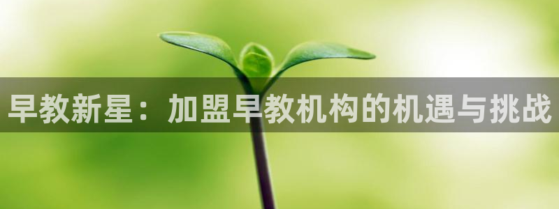 保定威九网络科技有限公司：早教新星：加盟早教机构的机遇与挑战