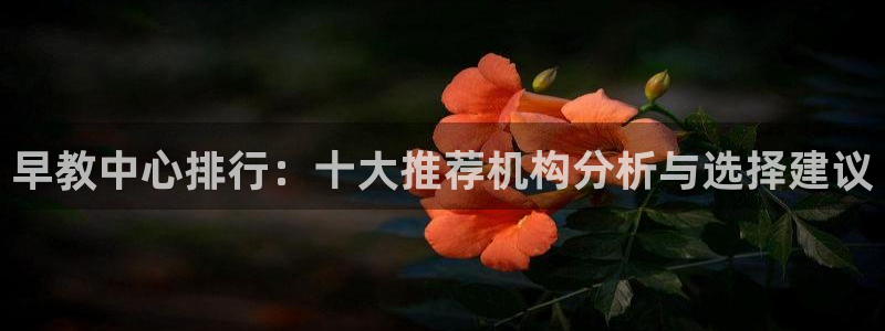 威九国际网站为什么不禁止：早教中心排行：十大推荐机构分析与选择建议