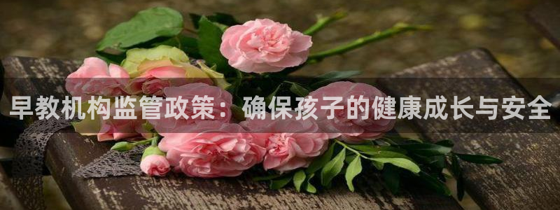 威九国际网站入口官网免费：早教机构监管政策：确保孩子的健康成长与安全