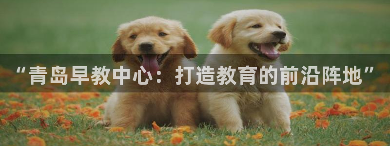 威九国际66m66大陆：“青岛早教中心：打造教育的前沿阵地”