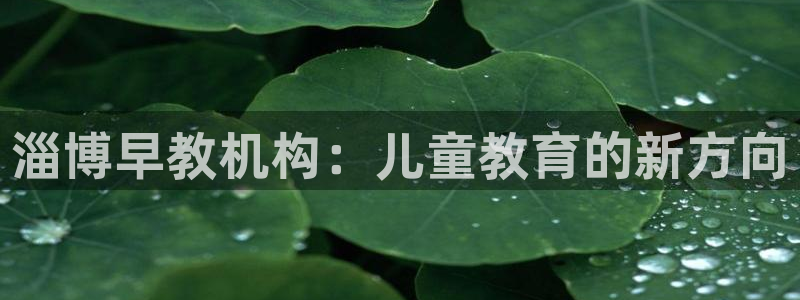 威九国际父亲的友人：淄博早教机构：儿童教育的新方向