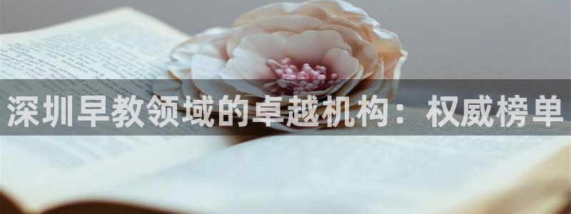 威九国际网站影视：深圳早教领域的卓越机构：权威榜单